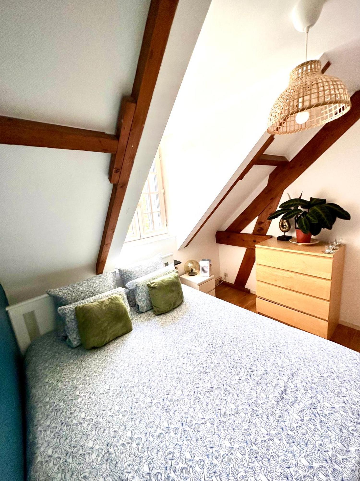 Family Oasis With 3 Bedrooms Near Paris Chennevieres-sur-Marne Екстер'єр фото